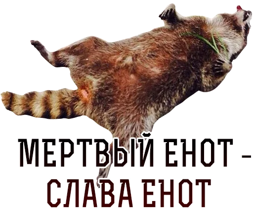 romper88 Telegram sticker pack