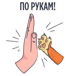 Rookee.ru Rookee.ru sticker 8