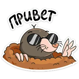 Рой Telegram sticker pack