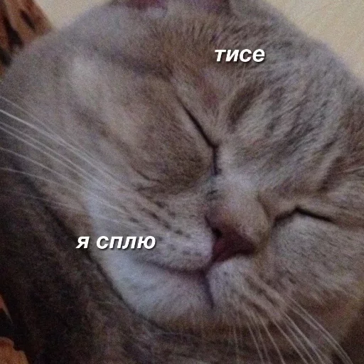 Favorite Sticker by @fStikBot sticker 6
