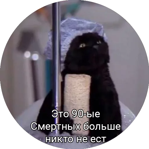 Saberhagencat sticker 2