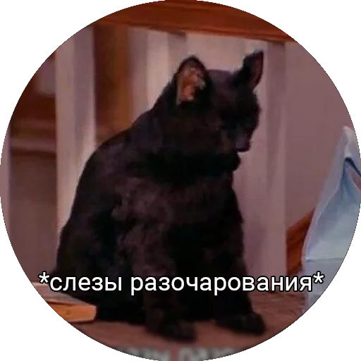 Saberhagencat sticker 12