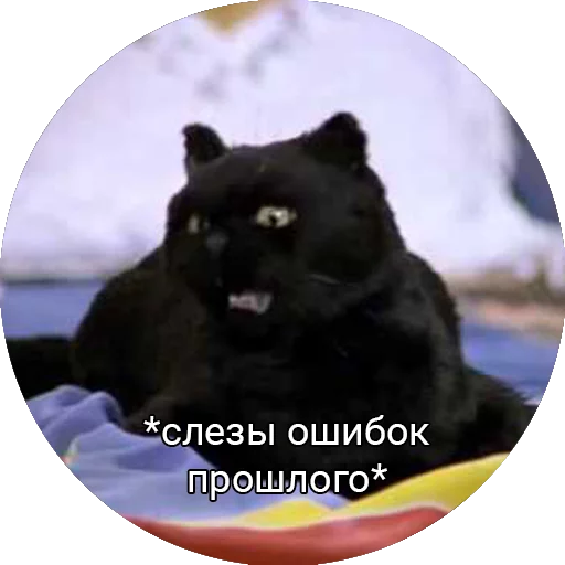 Saberhagencat sticker 3