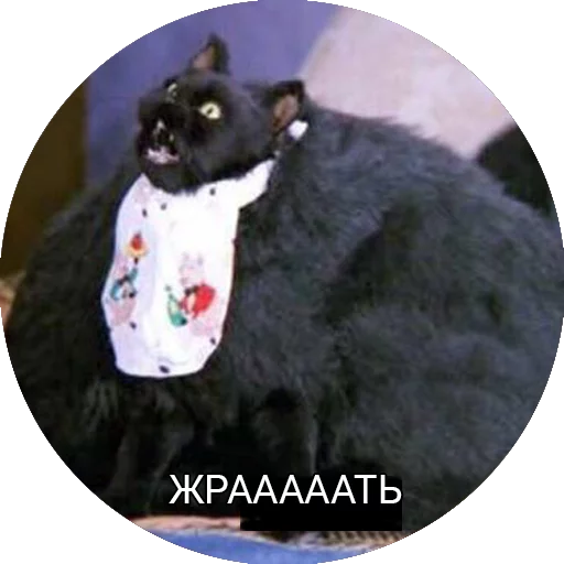 Saberhagencat sticker 4