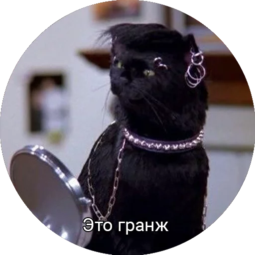 Saberhagencat sticker 7