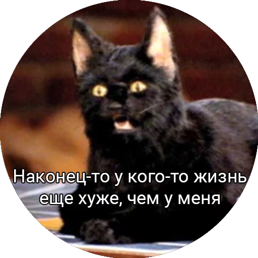 Saberhagencat sticker 8