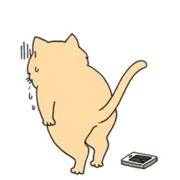 Грустный толстый кот sticker 12