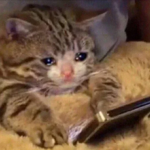 Sad sticker 2