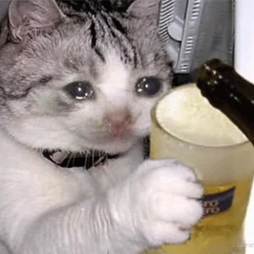 Sad sticker 11