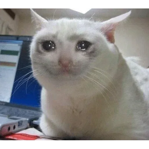 Sad sticker 3