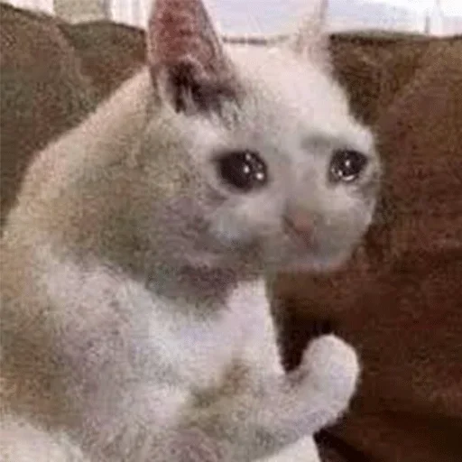 Sad sticker 4