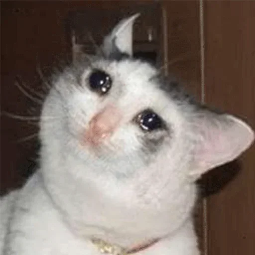 Sad sticker 5