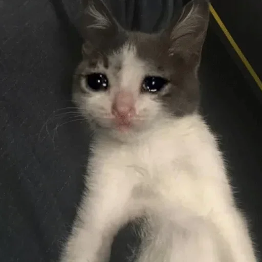 Sad sticker 6