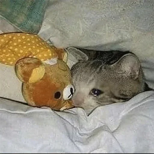 Sad sticker 7