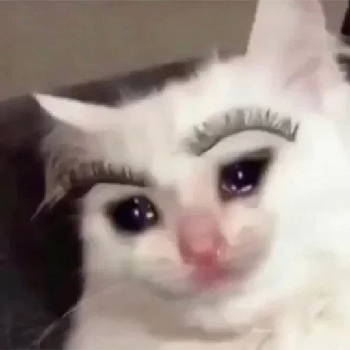 Sad sticker 8