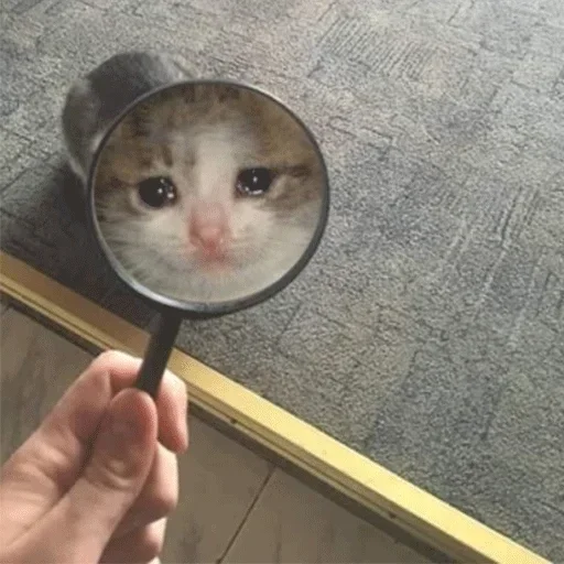 Sad sticker 9