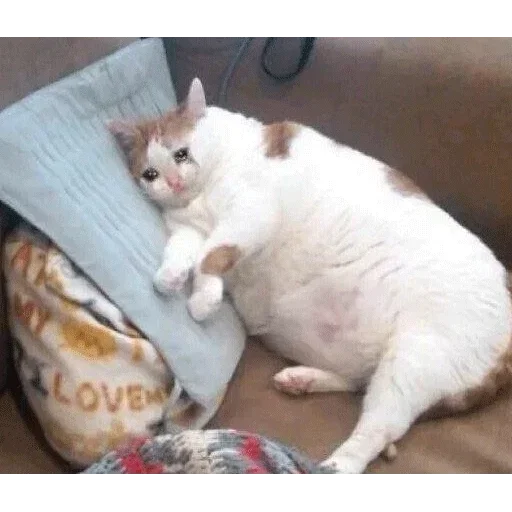 Sad sticker 10