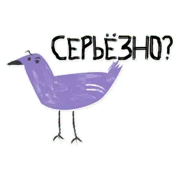 Щтё sticker 3
