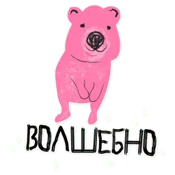 Щтё sticker 6