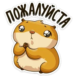 Хомяк Сеня sticker 4