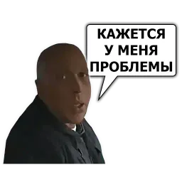Сергей Дружко sticker 3