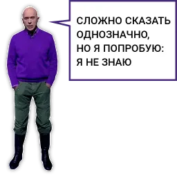 Druzhko Show sticker 9