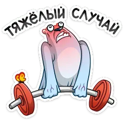 Отпуск Севы sticker 6