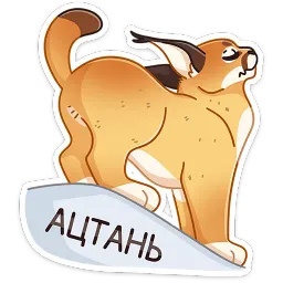 Сеймурр Анастасия Север sticker 2