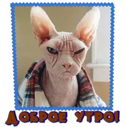 Сфинкс sticker 2