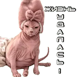 Сфинкс sticker 11
