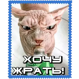 Сфинкс sticker 12
