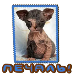 Сфинкс sticker 3