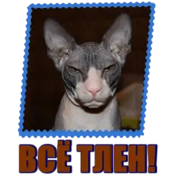 Сфинкс sticker 4