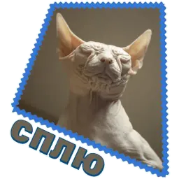 Сфинкс sticker 5