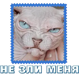 Сфинкс sticker 6