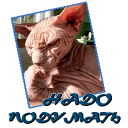 Сфинкс sticker 10