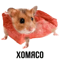 Шлакоблокунь и друзья sticker 2