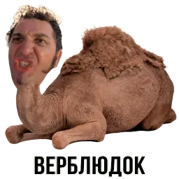Шлакоблокунь и друзья sticker 11