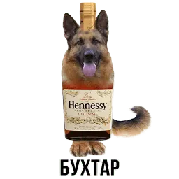 Шлакоблокунь и друзья sticker 7