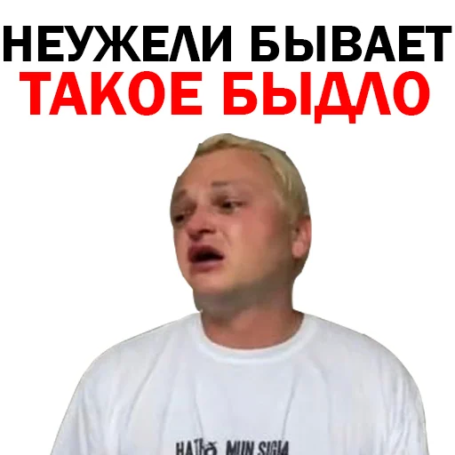 Похититель Ароматов Шура Стоун sticker 11