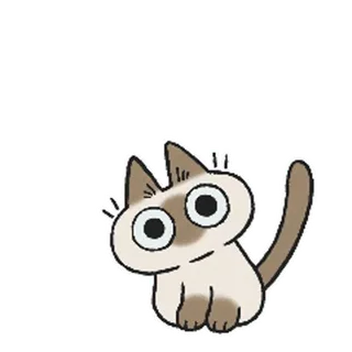 siamesecatlive_video Telegram sticker pack