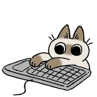 siamesecatlive_video sticker 11