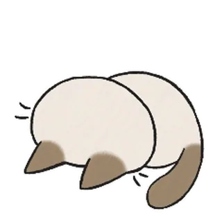 siamesecatlive_video sticker 12