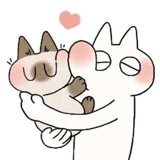 siamesecatlive_video sticker 14