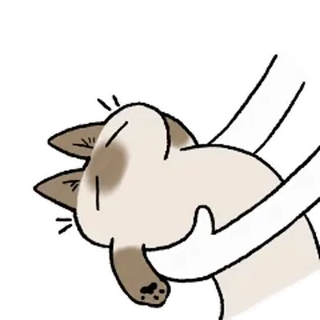 siamesecatlive_video sticker 15