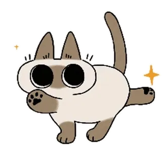 siamesecatlive_video sticker 3