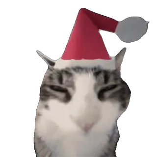 siamesecatlive_video sticker 24