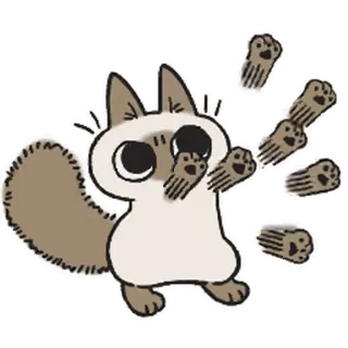 siamesecatlive_video sticker 4