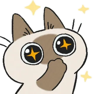 siamesecatlive_video sticker 5