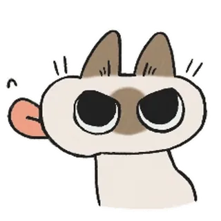 siamesecatlive_video sticker 6